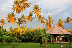 Отель Bali Oase Resort  Pemuteran